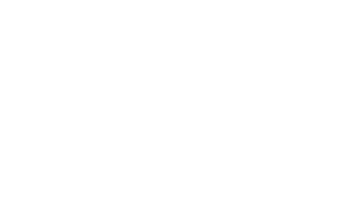 SuperFly Amsterdam — official brand logo